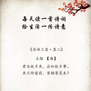 ​五个字的绝美诗句有哪些（五首令人赞叹的五言古诗）