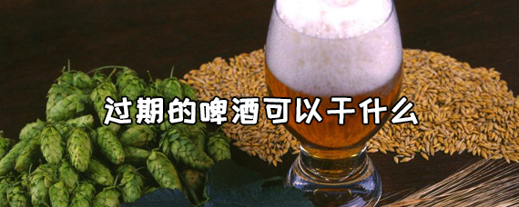 过期的啤酒可以干什么，过期啤酒的5大妙用