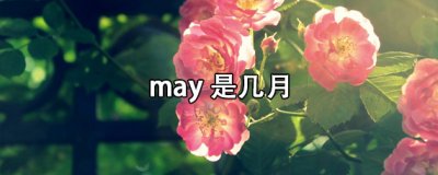 ​may是几月份（英语的may是几月份）