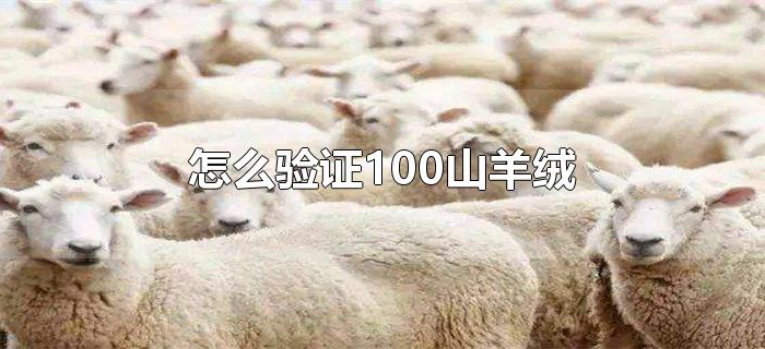 怎么验证100山羊绒