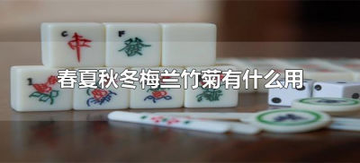 ​春夏秋冬梅兰竹菊有什么用（麻将的春夏秋冬梅兰竹菊有什么用）