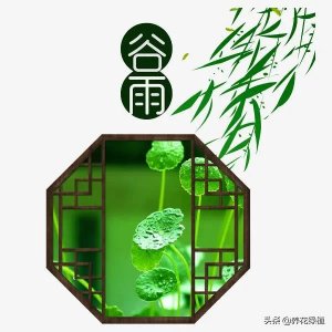 ​谷雨的由来简介（谷雨节气的来历及传统习俗介绍）