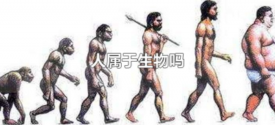 ​人属于生物吗（人可以被称为生物吗?）