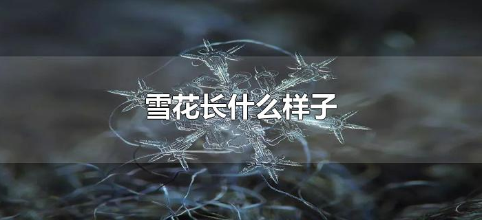 雪花长什么样子