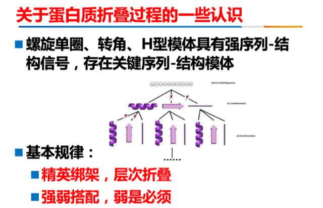 蛋白marker介绍（普通笔记本3小时跑完的蛋白质结构）(8)