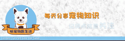 ​关于狗狗常见的几个习性你知道吗（聪明的狗狗都有这几种）