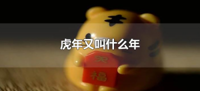 ​虎年又叫什么年（虎年又叫什么年是寅虎年吗）