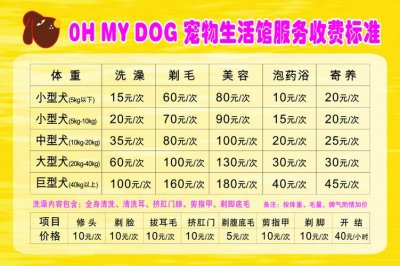 ​宠物训练收费标准（长沙小伙花6千月薪给狗狗报培训班）