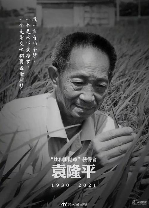 悼念袁隆平的句子简短（散文悼念袁隆平）