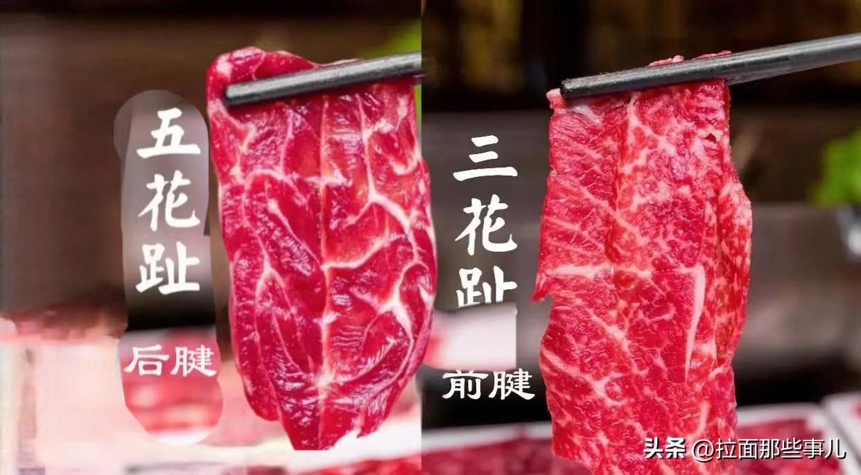 牛前腱子肉和后腱子肉哪个好吃（牛腱子肉是哪里的肉）(图8)