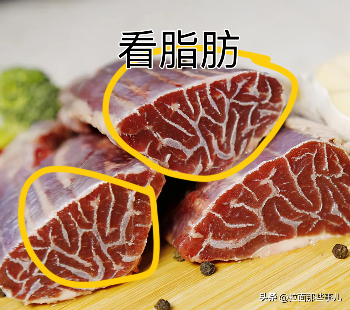 牛前腱子肉和后腱子肉哪个好吃（牛腱子肉是哪里的肉）(图3)