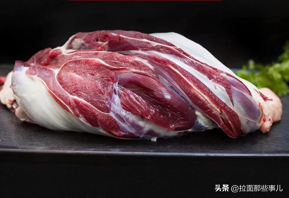 牛前腱子肉和后腱子肉哪个好吃（牛腱子肉是哪里的肉）(图6)