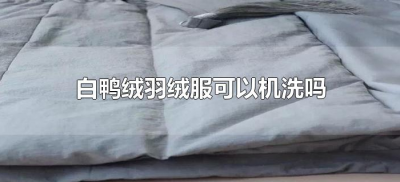 ​白鸭绒羽绒服可以机洗吗（白鸭绒羽绒服可不可以机洗）