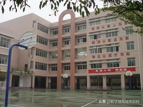 贵阳小学排名前十的学校有哪些，贵阳小学排名一览表