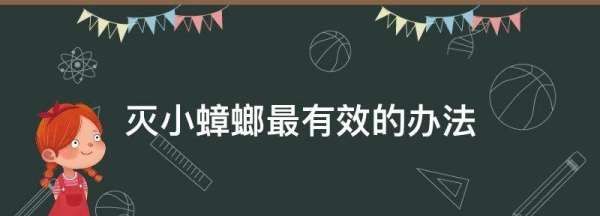 灭小蟑螂最有效的办法,蟑螂怎么消灭最彻底图5