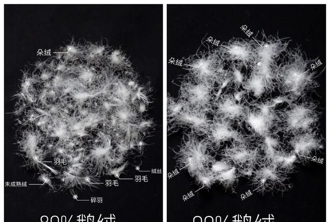 怎样区分鹅绒和鸭绒