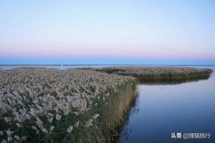 额济纳旗是内蒙古最西、最大、人口最少的旗，有戈壁大漠、居延海