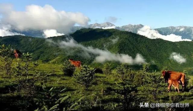 甘南草原有多美（大美甘肃甘南这里是被遗忘的）(35)