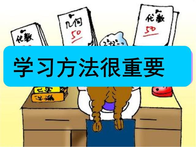 北大学霸学好语文（北大学霸杨紫涵）(4)