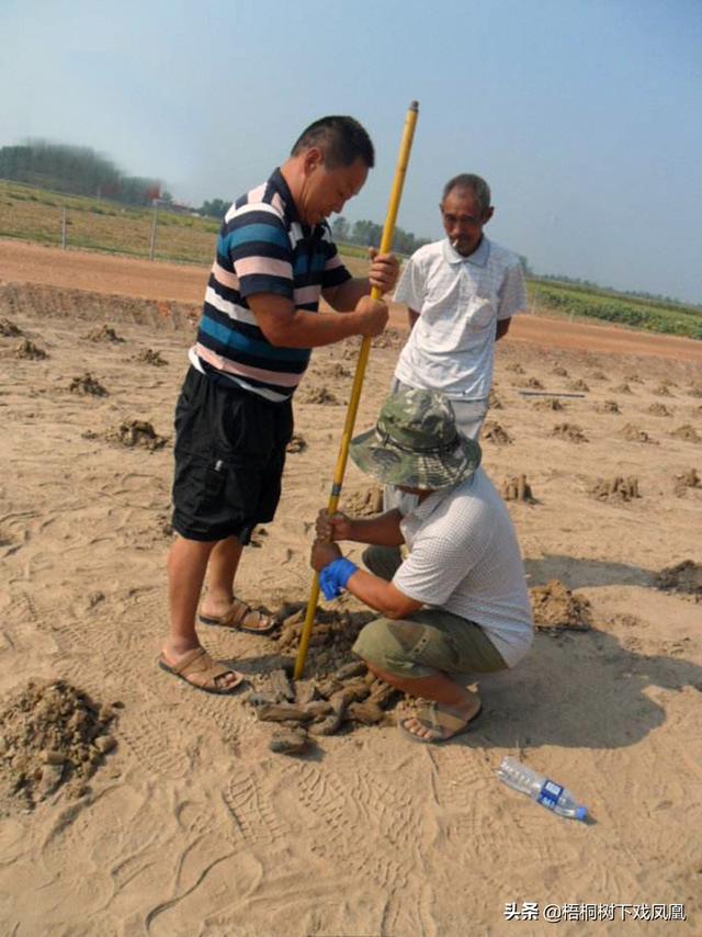 考古专家发现许多古墓（考古挖开墓道后吃了一惊）(10)