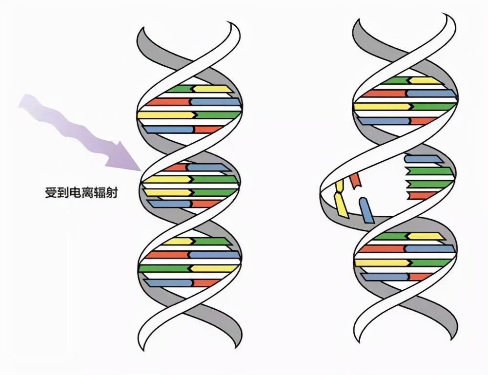 经常晒太阳可以增强男人性功能吗（为什么要晒太阳）(图5)