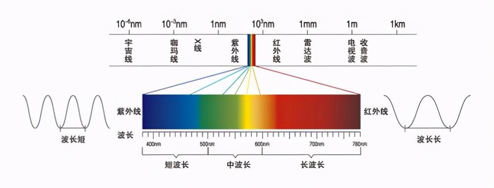 经常晒太阳可以增强男人性功能吗（为什么要晒太阳）(图4)