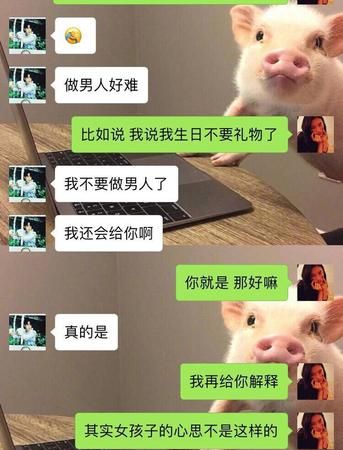 直男憨憨是什么意思