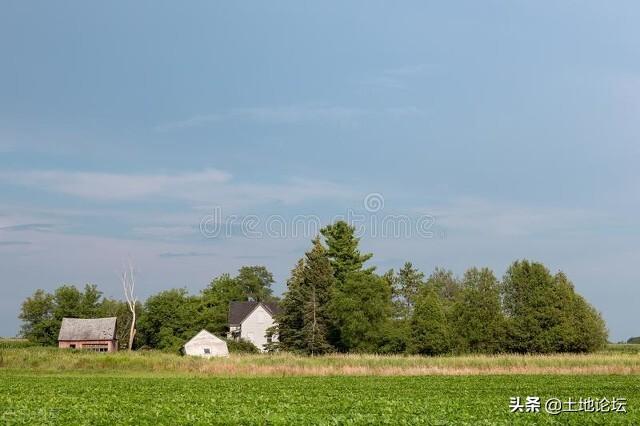 一户一宅政策没有宅基地怎么申请（一户一宅我没有宅基地怎么办）(图1)