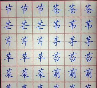 ​草字头的字和什么有关一年级,草字头的字和什么有关一年级