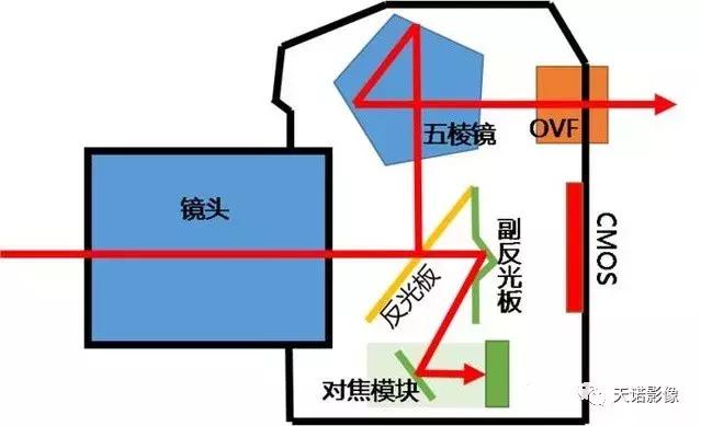 旁轴相机怎么选（旁轴相机与单反相机有什么不同）(3)