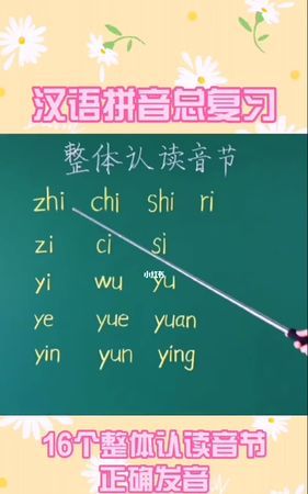 拼音什么是整体认读音节有哪些