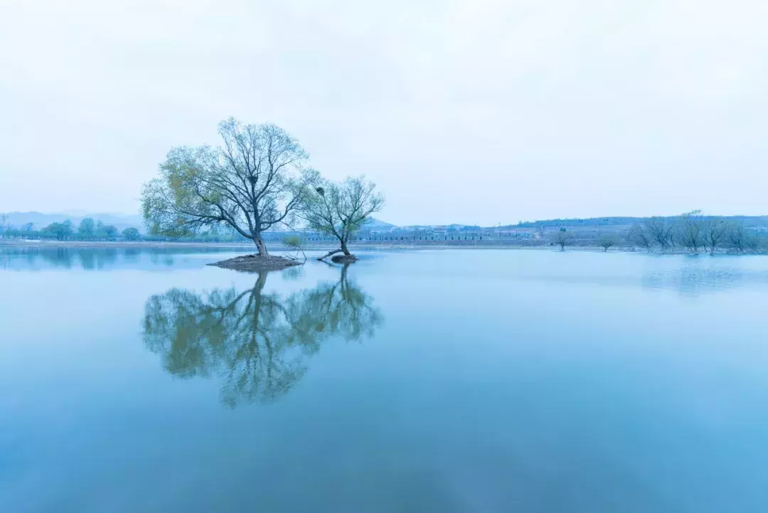 10首关于汉字的古诗(关于汉字的古诗)