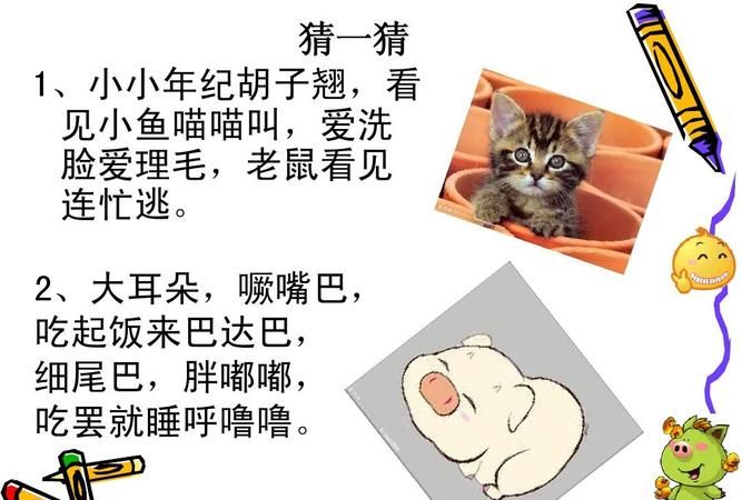 关于猫的谜语有哪些简单点的