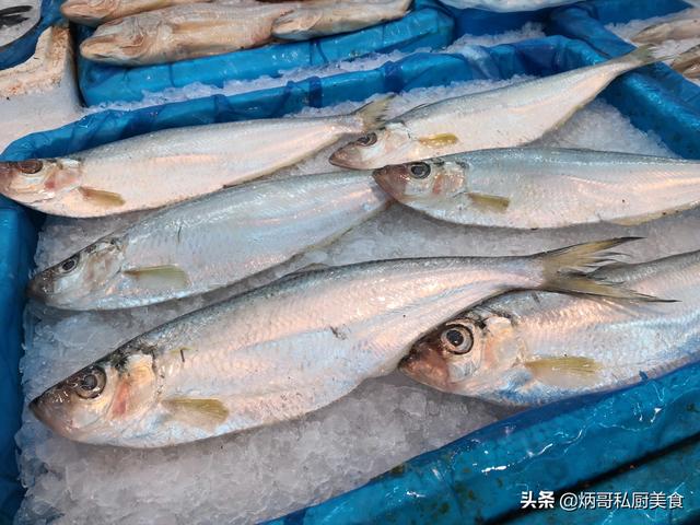 各种大海鱼的做法大全家常（聪明人必吃的8大海鱼）(9)