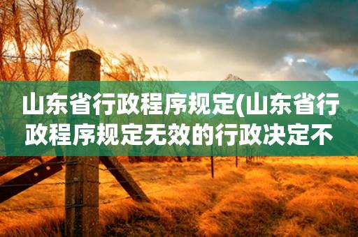 山东省行政程序规定(山东省行政程序规定无效的行政决定不发生法律效力)