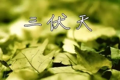 ​三伏天吃什么食物最好（三伏天8种碱性食物）