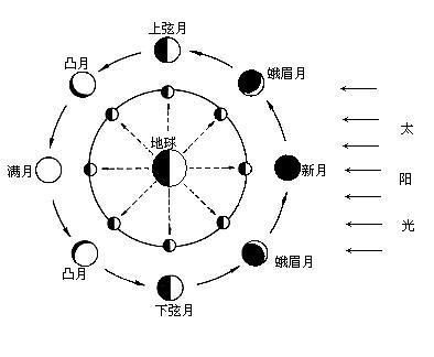 新月,上弦月,满月,下弦月的月相成因图