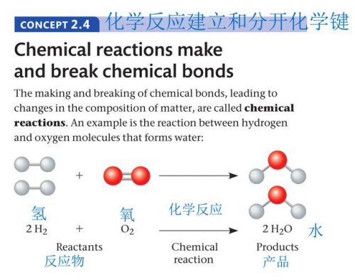 水是生命之源英语(水是生命之源,生产之要,生态之基)-第2张图片-