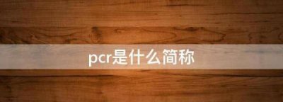 ​pcr是什么简称,pcr是什么的医学简称