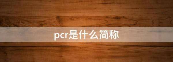 pcr是什么简称,pcr是什么的医学简称图1