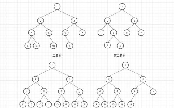 树的度是什么意思,树的度是什么图2