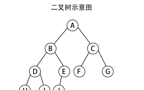 树的度是什么意思,树的度是什么图3