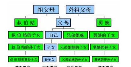 非直系亲属包括哪些人员