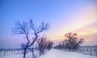 雪景短句伤感：描写雪的伤感的句子有哪些