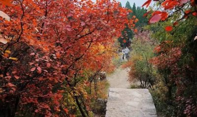 ​红叶香山在什么地方,以红叶著名的香山位于哪座城市