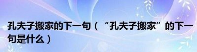 ​孔夫子搬家的下一句,孔夫子搬家的歇后语是什么