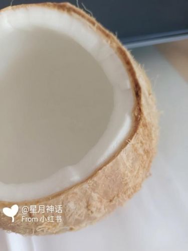 椰子肉怎么吃最好吃？椰子肉怎么吃好吃又营养-第1张图片-