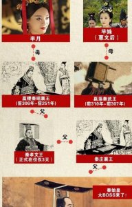 ​嬴政和米月是什么关系，祖孙关系_赢政政治能力其实是遗传的