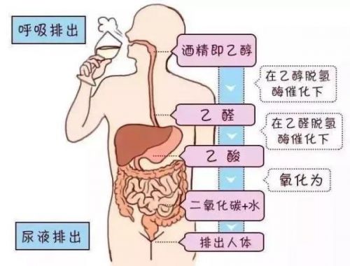 酒后更想你原唱(酒后更想你的句子说说心情)-第1张图片-