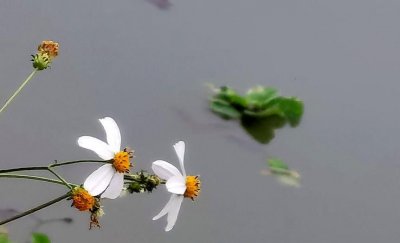 ​玄英是哪个季节的别称,玄英是哪个级别的季节的别称